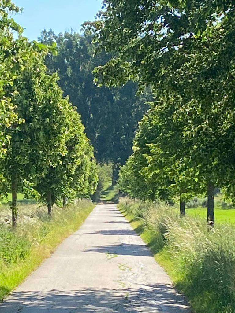 Ferienwohnung Im Wunderschoenen Altmuehltal Wellheim Buitenkant foto