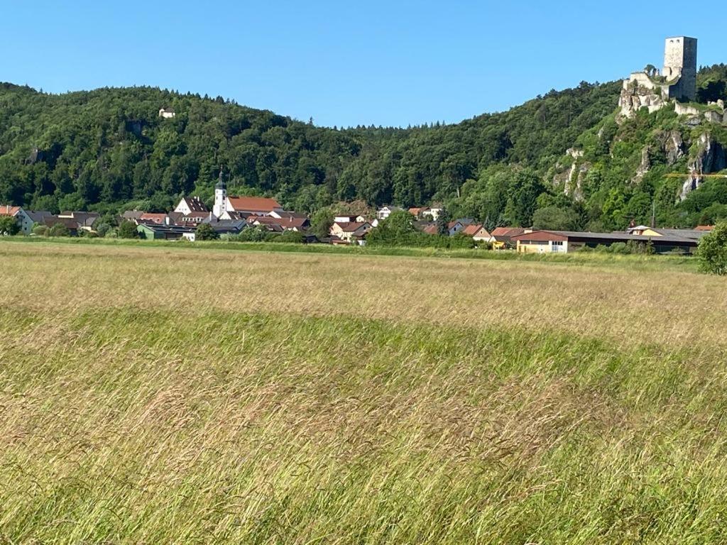 Ferienwohnung Im Wunderschoenen Altmuehltal Wellheim Buitenkant foto